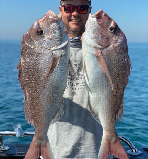IFISH